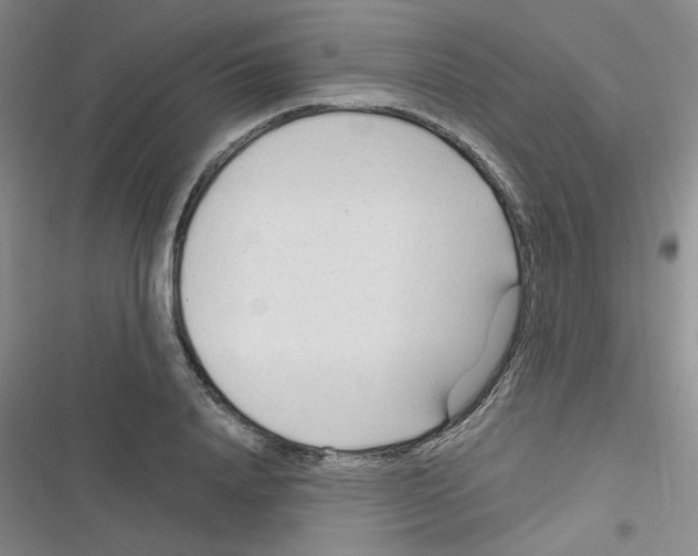 X0000116340840201001131043