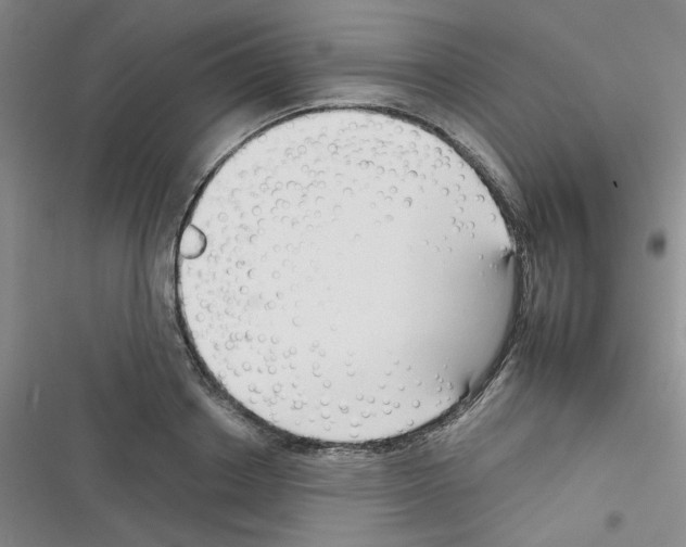 X0000116340842201001131043