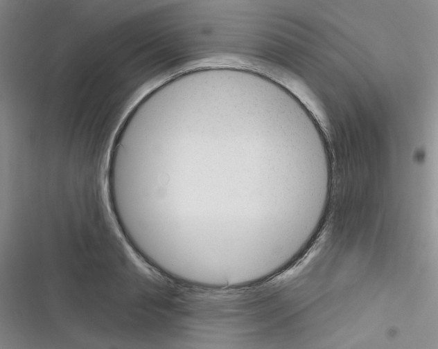 X0000116340845201001131044