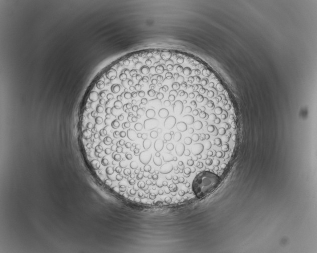 X0000116340846201001131044