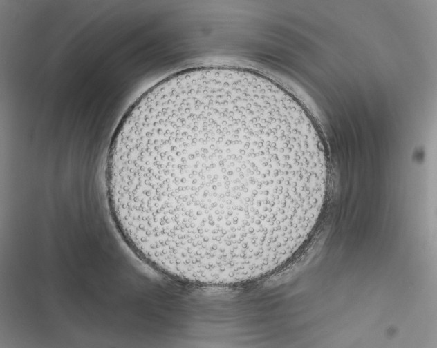 X0000116340847201001131044