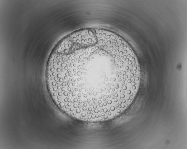 X0000116340848201001131044