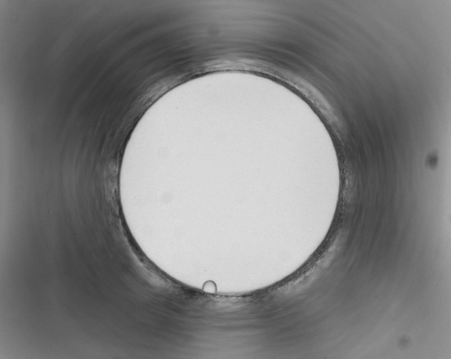 X0000116340849201001131044