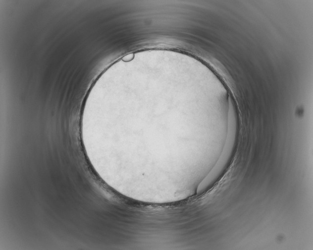 X0000116340850201001131044