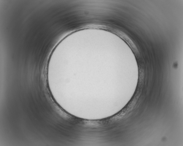 X0000116340852201001131044