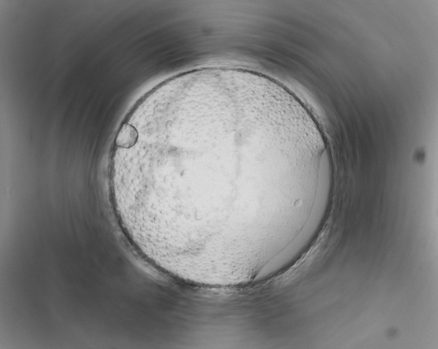 X0000116340854201001131044