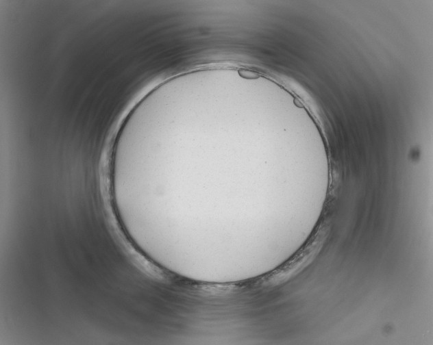 X0000116340859201001131044