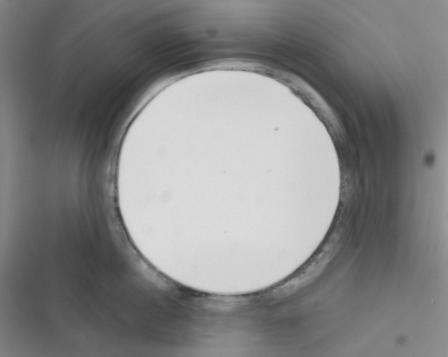 X0000116340860201001131044