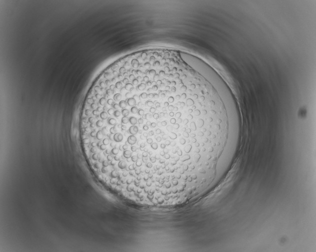 X0000116340862201001131044