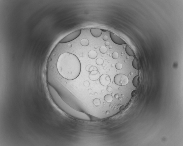 X0000116340863201001131044