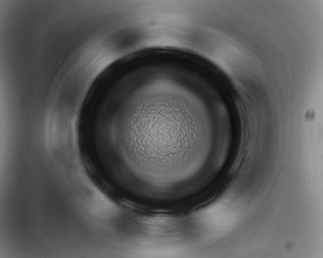 X0000116340864201001131044