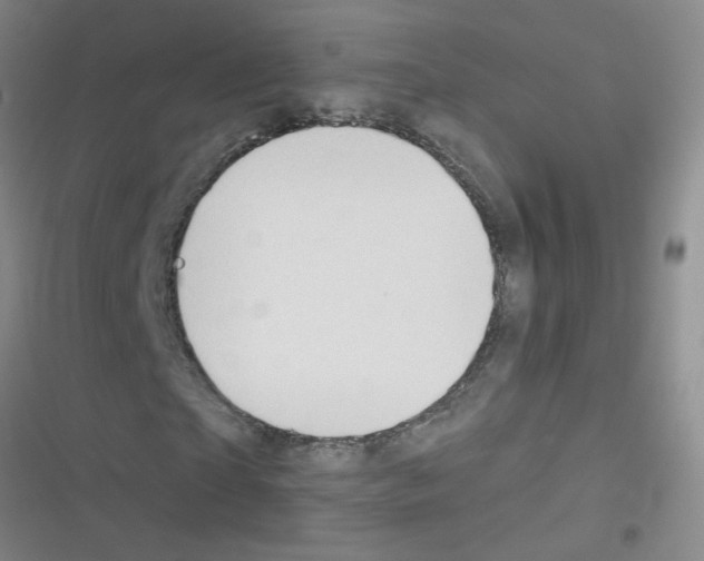 X0000116340865201001131043