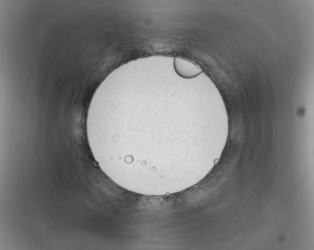 X0000116340866201001131043