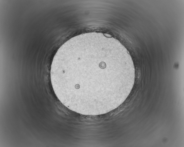 X0000116340868201001131043