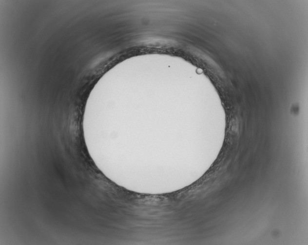 X0000116340869201001131043