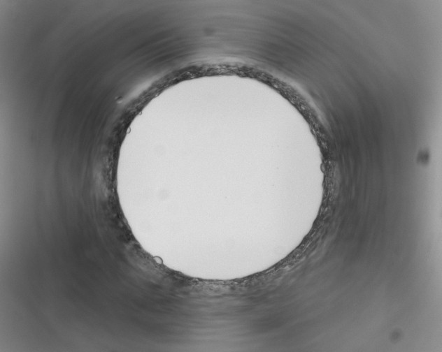 X0000116340871201001131043