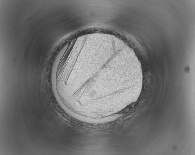 X0000116340872201001131043