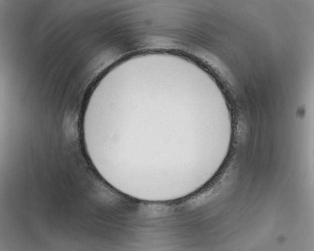 X0000116340873201001131043