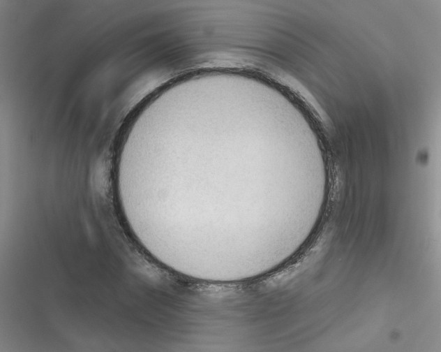 X0000116340874201001131043