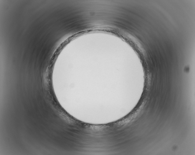 X0000116340875201001131043