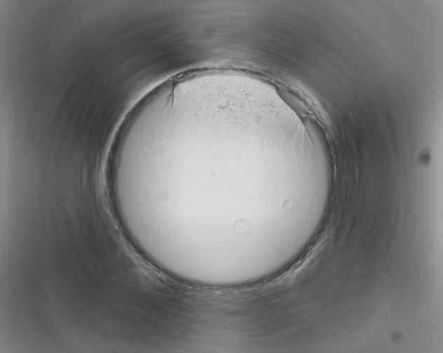 X0000116340876201001131043