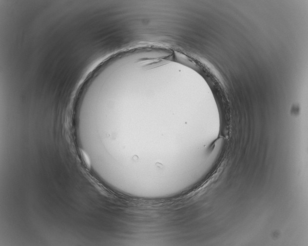 X0000116340878201001131043