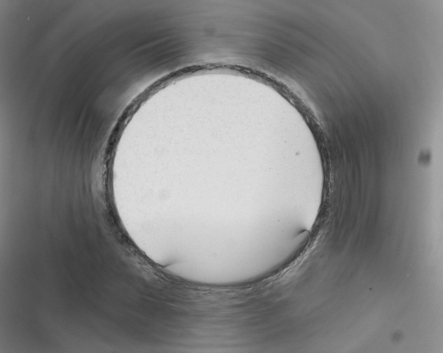 X0000116340879201001131043