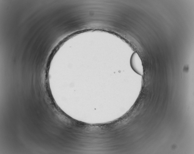 X0000116340880201001131043