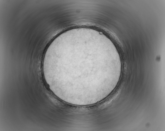 X0000116340881201001131043