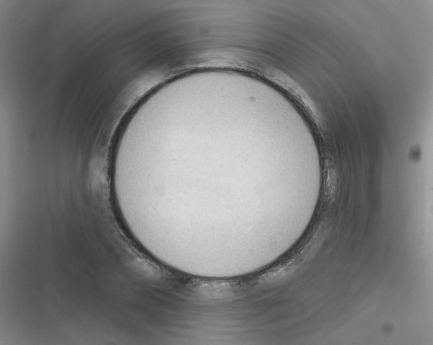 X0000116340882201001131043