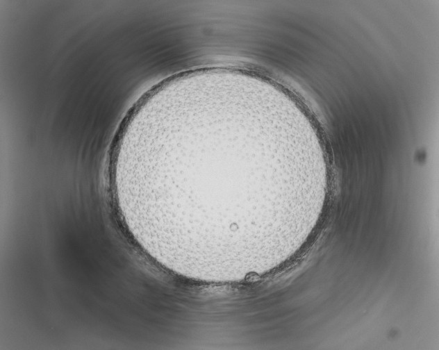 X0000116340883201001131043