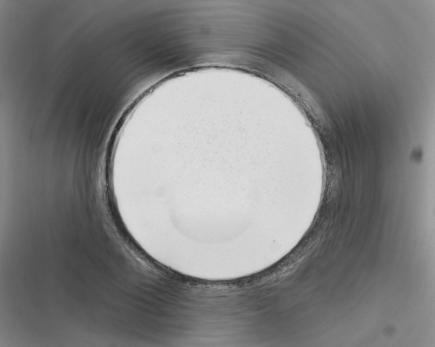 X0000116340884201001131043