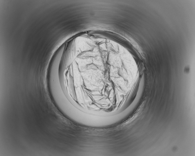 X0000116340885201001131043