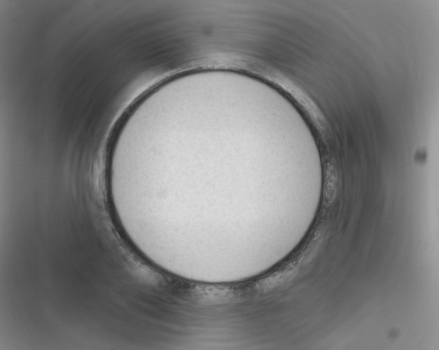 X0000116340886201001131043