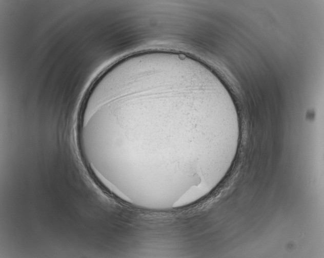 X0000116340888201001131043