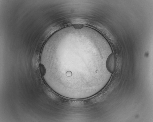 X0000116340889201001131043