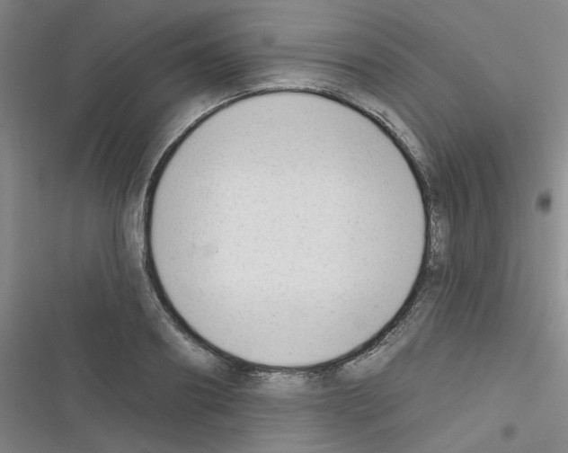 X0000116340890201001131043