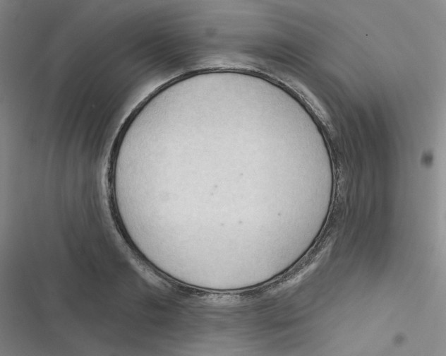 X0000116340893201001131043