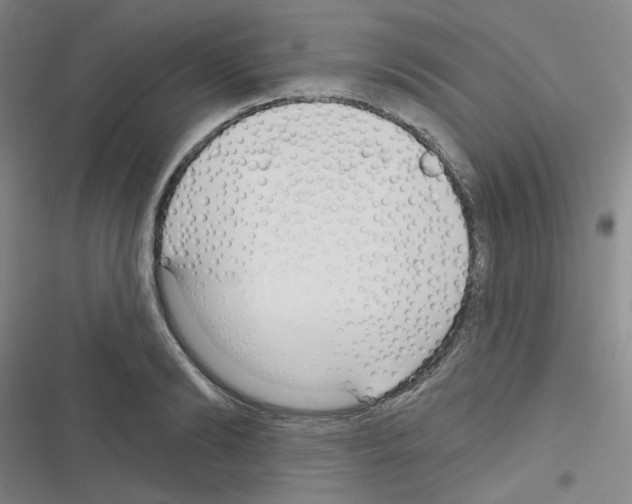 X0000116340894201001131043