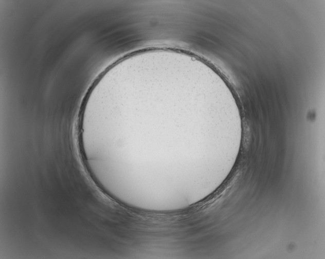 X0000116340895201001131043