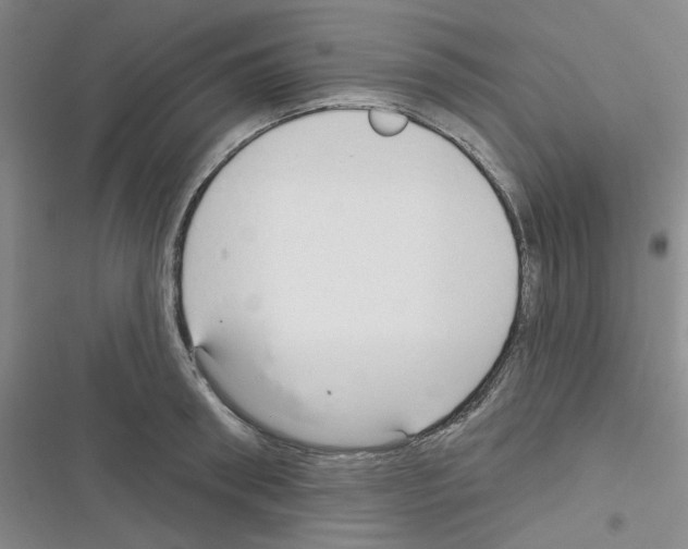 X0000116340898201001131043