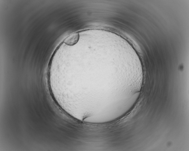 X0000116340899201001131043