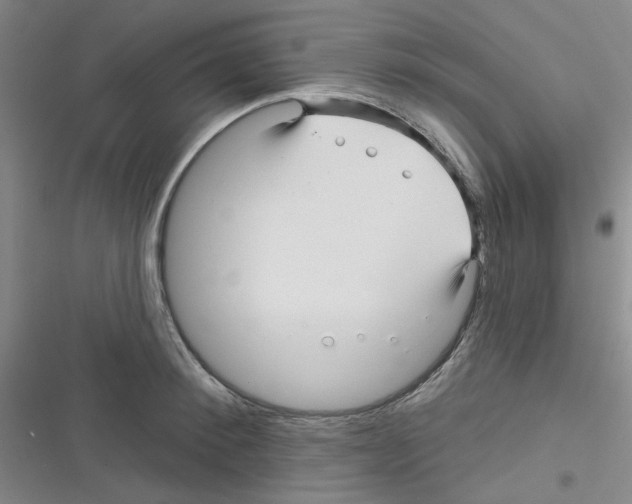 X0000116340900201001131043