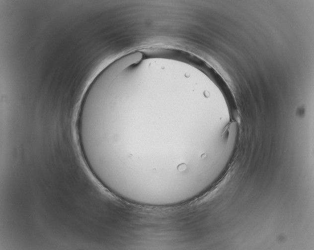 X0000116340901201001131043