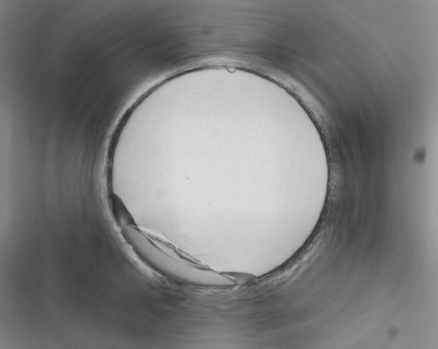 X0000116340902201001131043