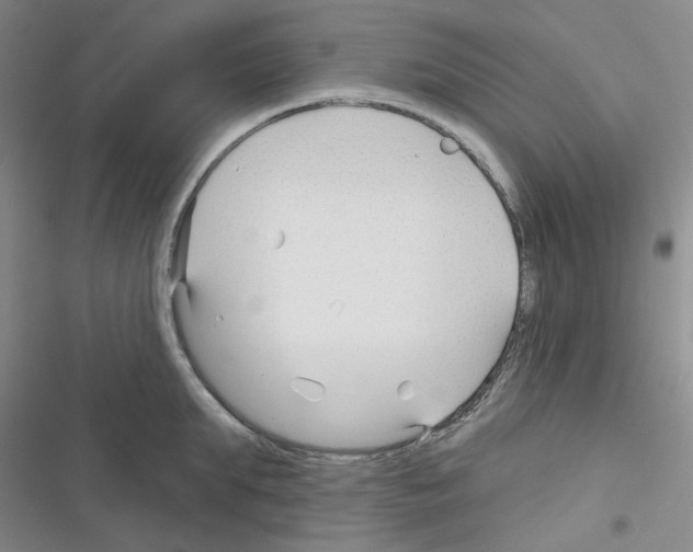 X0000116340903201001131043