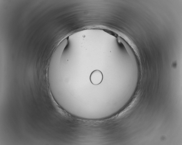 X0000116340905201001131043