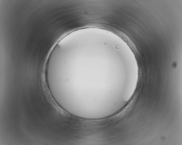 X0000116340908201001131043