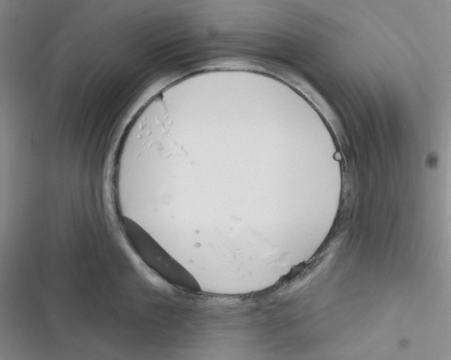 X0000116340909201001131043