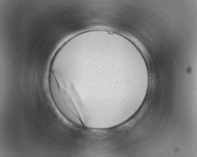 X0000116340910201001131042